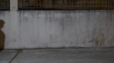 Erkek, bir kadını tehdit de çantasını, karanlık bir sokakta alır. Geceleyin