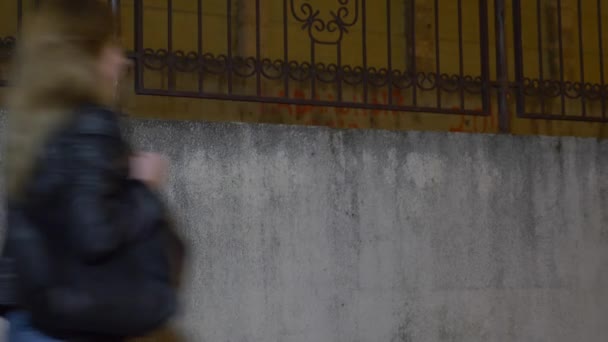 Un voleur, menace une femme et prend son sac, dans une ruelle sombre. la nuit — Video