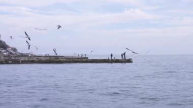 deniz manzarası. Tanınmayan balıkçılar iskelesi balık martılar deniz 4 k, ağır çekim çekim sinek.