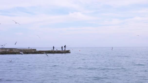 El paisaje marino. pescadores irreconocibles en el muelle peces, gaviotas vuelan sobre el mar 4k, tiro en cámara lenta — Vídeo de stock