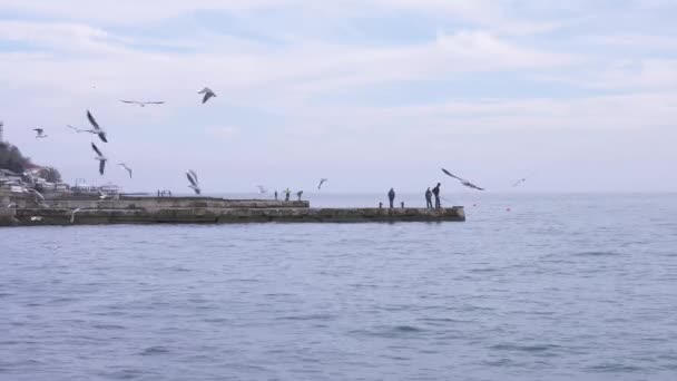 Морський пейзаж. невідомі рибалки на рибі-пірсі, чайки літають над морем 4k, повільна стрільба — стокове відео