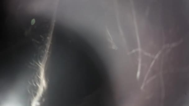 Une petite fille fantôme aux longs cheveux noirs, en blanc, errant dans les bois avec un couteau et un jouet doux. 4k 