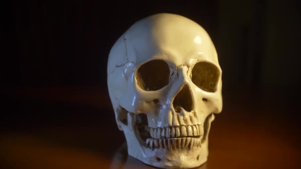 Skull on a black background. close-up. 4k, dolly shot — Stock Video