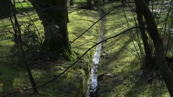 Umělý vodní kanál ve veřejném parku. 4k — Stock video