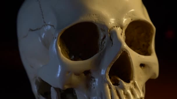 Totenkopf auf schwarzem Hintergrund. Nahaufnahme. 4k, Dolly Shot — Stockvideo