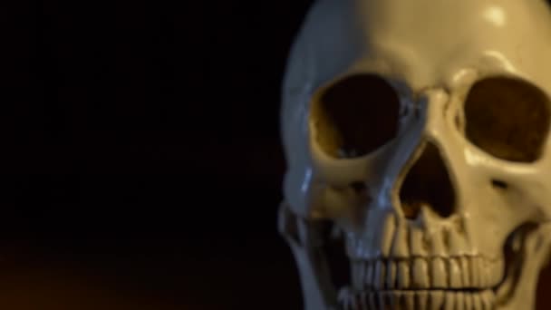 Skull on a black background. close-up. 4k, dolly shot — Stock Video