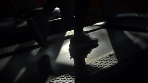 Una mujer haciendo ejercicio en el gimnasio. 4k, desenfoque de fondo — Vídeos de Stock