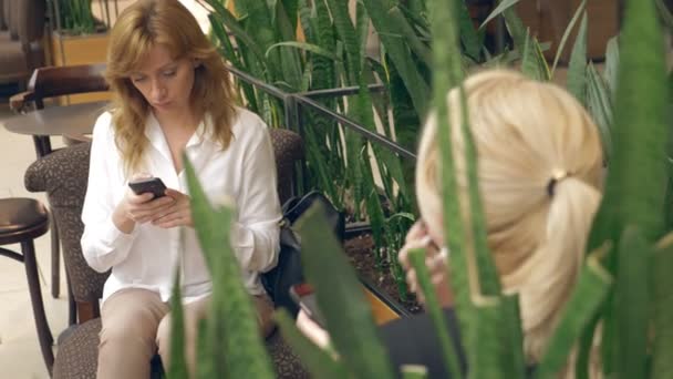 Mujer hablando por celular y bebiendo café en la cafetería. 4k — Vídeos de Stock