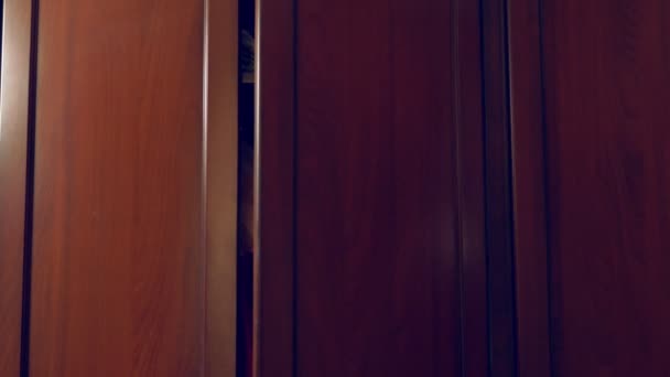 Naga kobieta ukrywa się w szafie. ona wychodzi z ukrycia i ucieka z domu miłośników frontowymi drzwiami. 4k, — Wideo stockowe