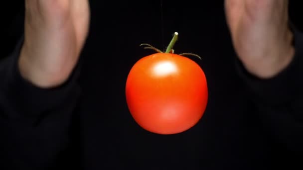 Fresco maduro vermelho tomate levitar entre as mãos de um homem em um fundo preto, conceito ilusionista, levitação — Vídeo de Stock