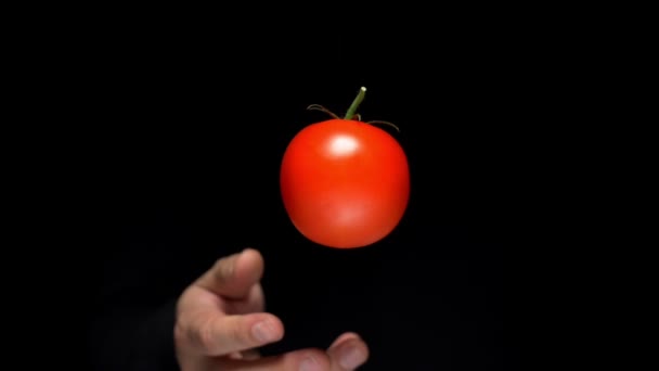 Taze kırmızı domates, siyah arka plandaki bir adamın elleri arasında uçar, konsept illüzyonist, havada kalma — Stok video