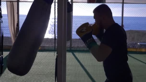 Silhouette. Boxer beats punching bag in open gym on the beach with sea view. — ストック動画