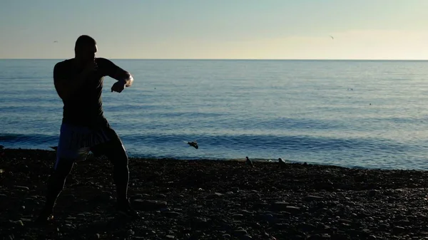 Silueta de un atleta boxeador en la playa contra el mar azul y el cielo despejado. boxeo de sombras —  Fotos de Stock