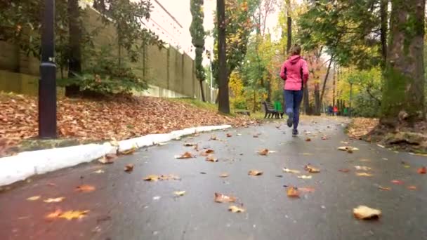 Chica atlética corriendo en otoño Parque después de la lluvia. visión trasera — Vídeos de Stock