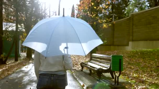 Стройная женщина в белой кожаной куртке и джинсах гуляет по осеннему парку с голубым зонтиком под дождем — стоковое видео