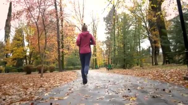 Chica atlética corriendo en otoño Parque después de la lluvia. visión trasera — Vídeos de Stock