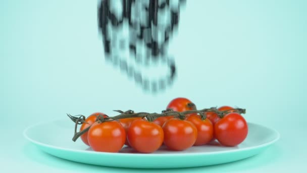 Jídlo navrhnout větev cherry rajčat na talíři. černé korálky padají shora — Stock video
