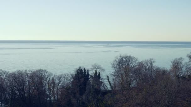 vue de dessus du paysage d'hiver par la mer. arbres aux feuilles tombées et à la mer 