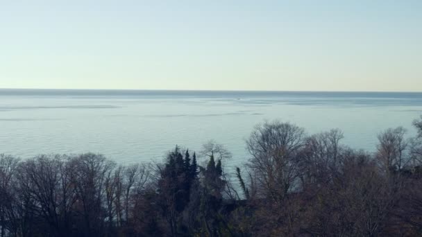 Vue de dessus du paysage d'hiver par la mer. arbres aux feuilles tombées et à la mer — Video