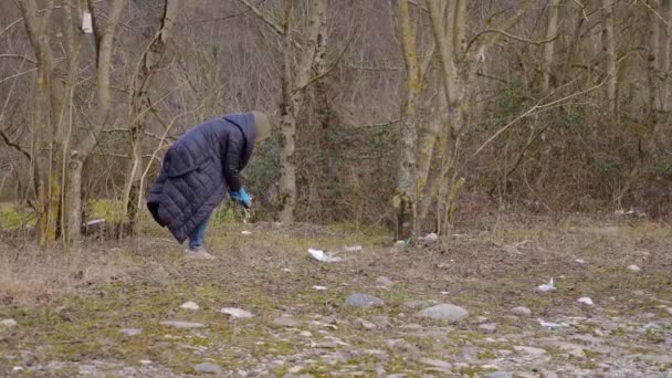 Problemas ambientais. um grupo de voluntários remove lixo na floresta — Vídeo de Stock