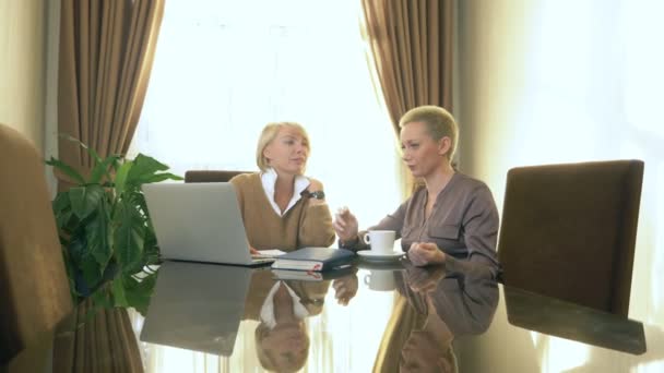 Deux femmes parlent alors qu'elles sont assis dans un bureau devant un ordinateur portable — Video