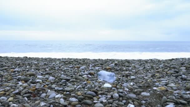 Frivilliga städar upp skräp på stranden på hösten. Miljöfrågor — Stockvideo