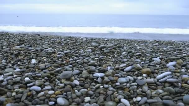 Plastic trash on the stone seashore. environmental problems — Stock Video