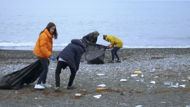 去年秋天，志愿者们在海滩上清理垃圾。 环境问题 — 图库视频影像