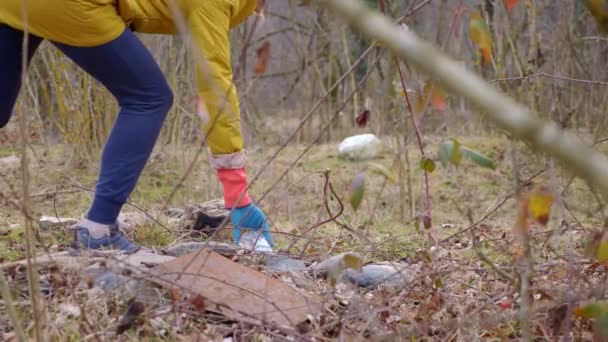 Umweltprobleme. Gruppe ehrenamtlicher Helfer beseitigt Müll im Wald — Stockvideo