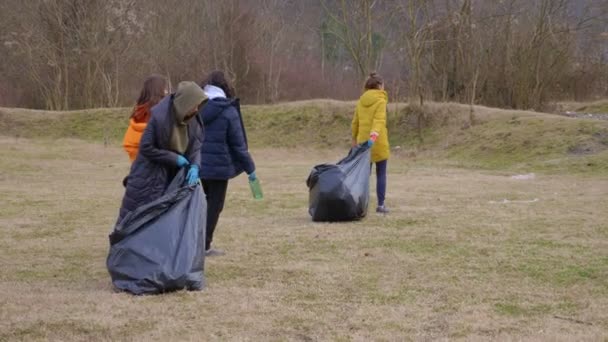 Problèmes environnementaux. un groupe de bénévoles enlève les ordures dans la forêt — Video