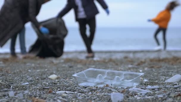 Волонтеры убирают мусор на пляже осенью. экологические проблемы — стоковое видео