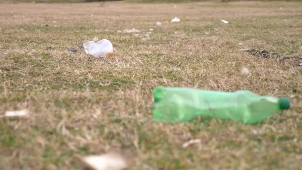 La basura limpiando en el bosque. problemas de la ecología . — Vídeo de stock