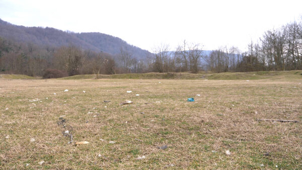 the garbage clearing in the woods. problems of ecology.