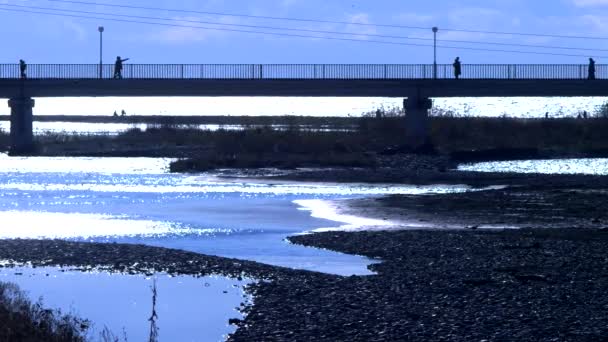 Силуэты. пешеходный мост через реку в устье реки — стоковое видео