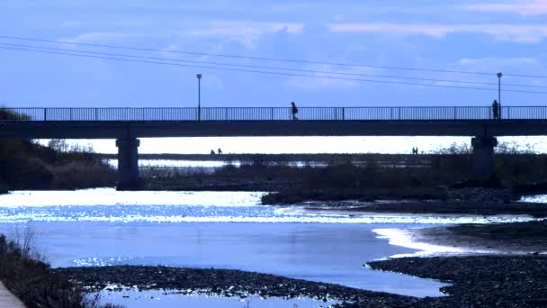 Silhouettes. pedestrian bridge over the river at the mouth of the river — Stock Video