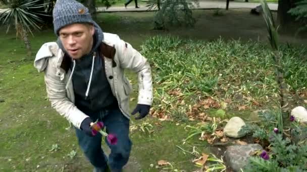 Hombre sin hogar recogiendo flores en un parterre en un parque para su mujer — Vídeos de Stock