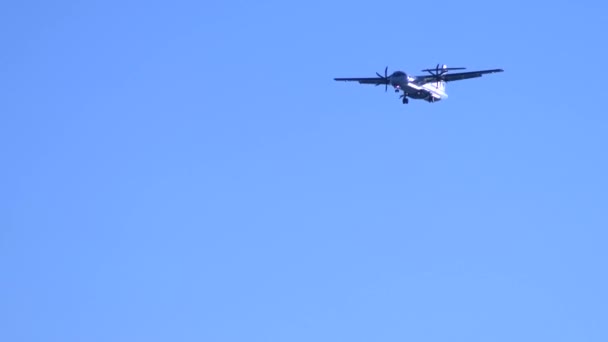 Avion dans un ciel bleu clair atterrit. lâcher le châssis. espace de copie — Video