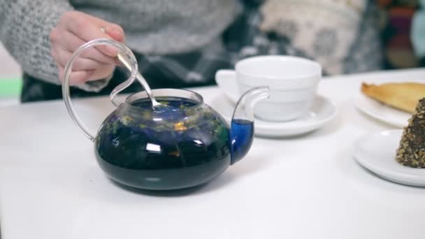 Синій чай з квітів кліторії в чайнику. модний дизайн їжі — стокове відео