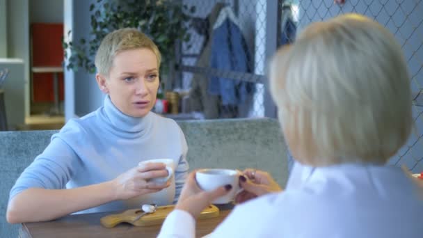 Duas belas mulheres elegantes loiras se comunicar sentado em um café — Vídeo de Stock