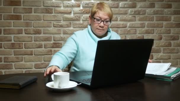 Ältere Frau arbeitet mit dem Laptop auf dem Dachboden. — Stockvideo