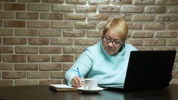 Ältere Frau arbeitet mit dem Laptop auf dem Dachboden. — Stockvideo