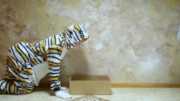 Menina bonita em um gato kigurumi tabby. sentado na caixa . — Vídeo de Stock