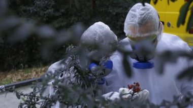 Koruyucu giysili ve solunum cihazlı insanlar doğadaki bitkileri inceler.