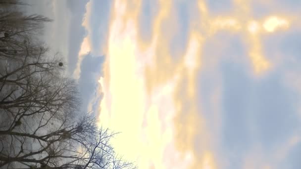 Zicht vanuit het autoraam. lege weg tussen de velden, de blauwe lucht en wolken — Stockvideo