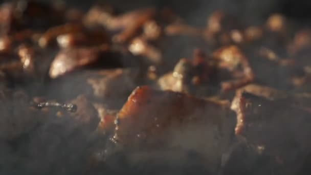 特写。在烟熏的煤块上烤烤肉。野餐. — 图库视频影像
