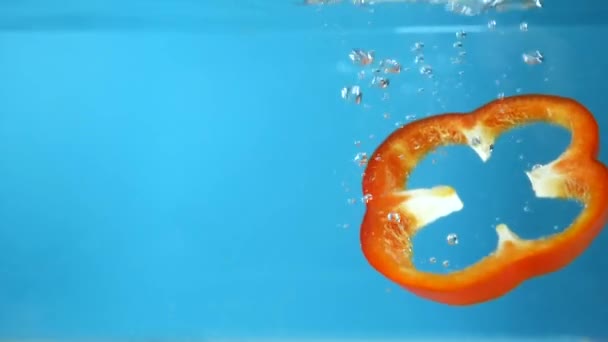 Gesneden rode paprika 's vallen in het water. blauwe achtergrond — Stockvideo