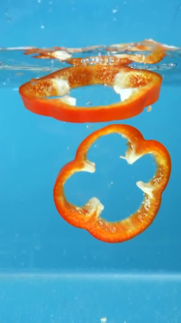 Verticaal schot. gesneden rode paprika 's vallen in het water. blauwe achtergrond — Stockvideo