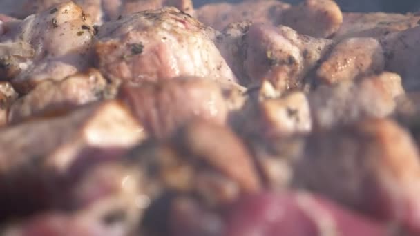 Closeup. grilled barbecue on coals in smoke. picnic. — Stock Video