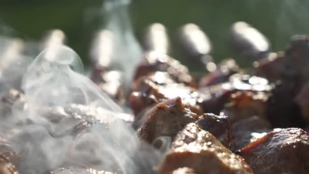 gros plan. barbecue grillé sur des charbons en fumée. pique-nique .