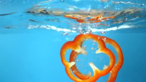 Sliced red bell peppers fall into the water. blue background — Stock Video